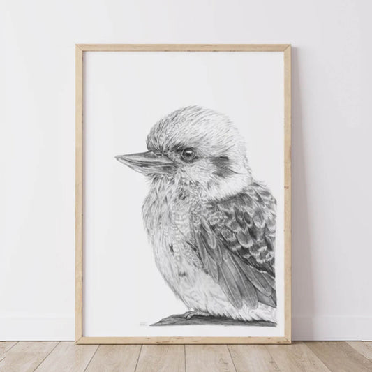 Kookaburra Australian Animals - Fine Art Print