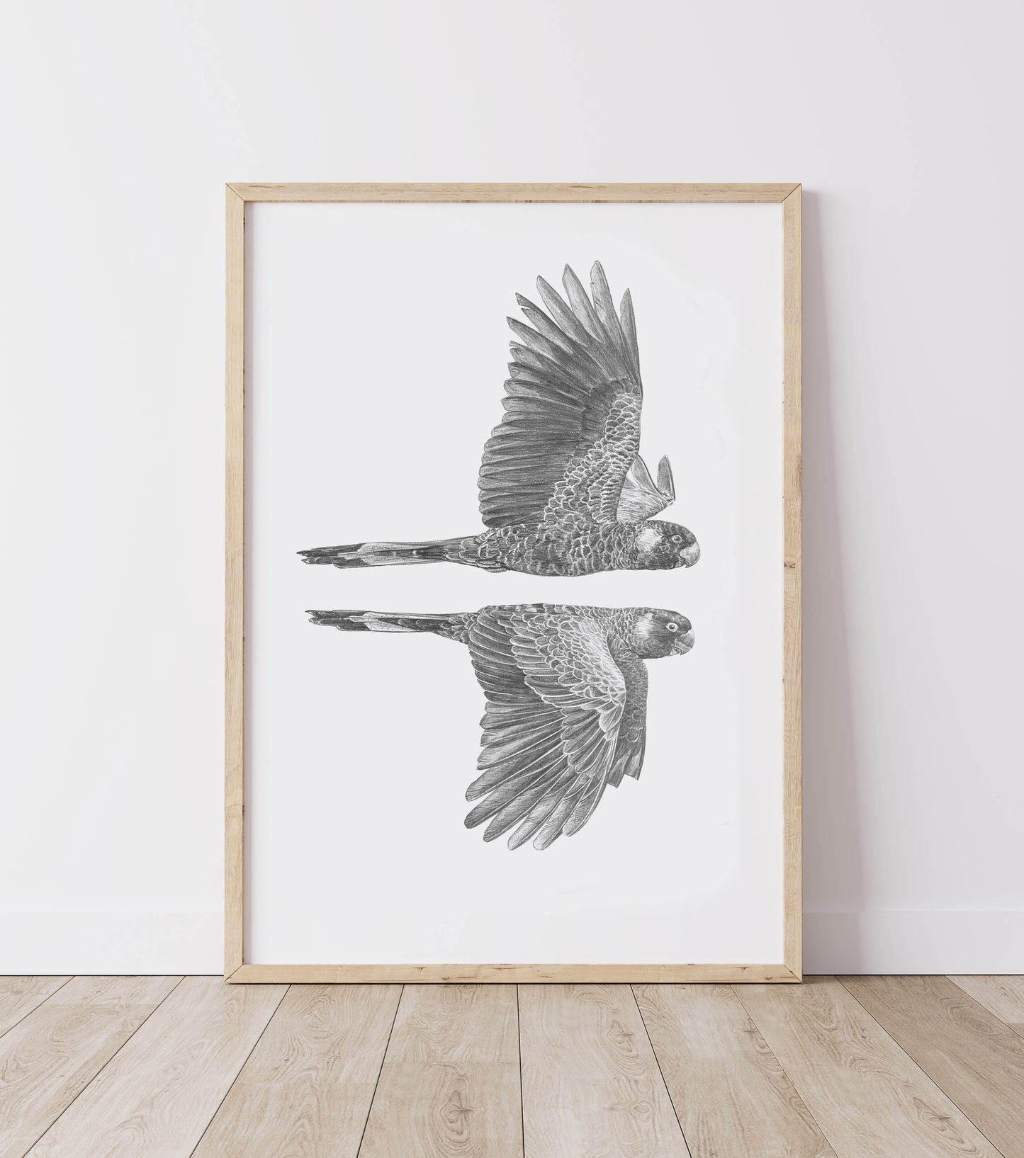Pair - Black cockatoos - Fine Art Print