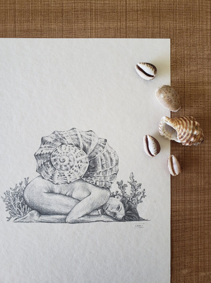 Sea Snail - Fine Art Print
