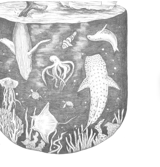 Under The Sea - Fine Art Print