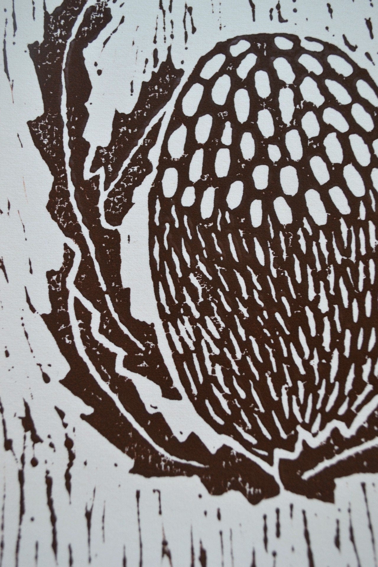 Brown Lino Banksia print