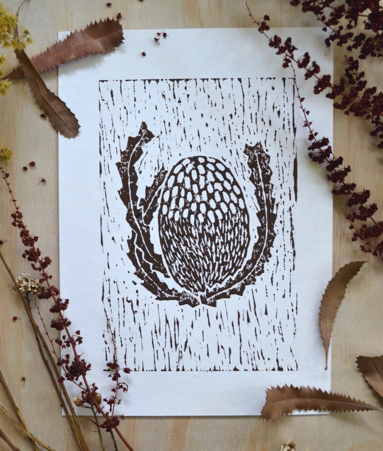Brown Lino Banksia print
