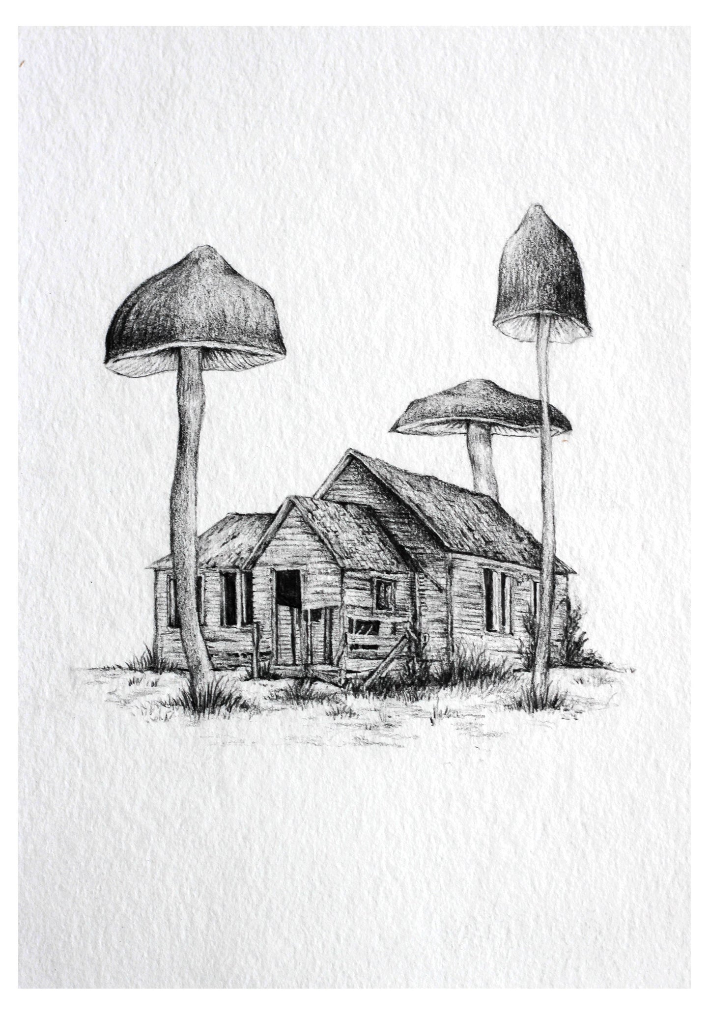 Mushroom Home - Fine Art Print