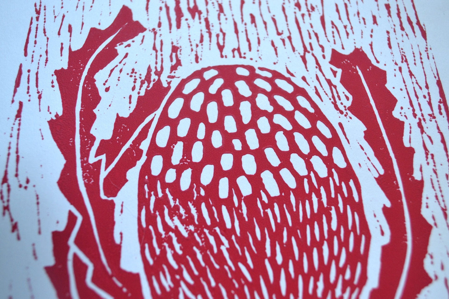 Red Lino Banksia print
