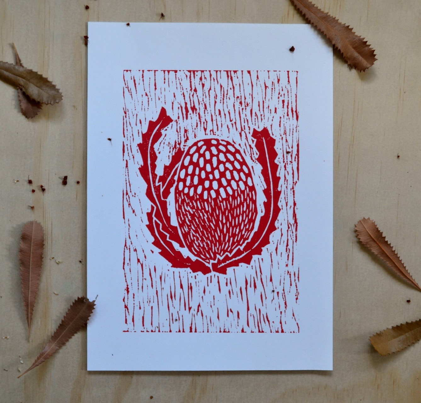 Red Lino Banksia print