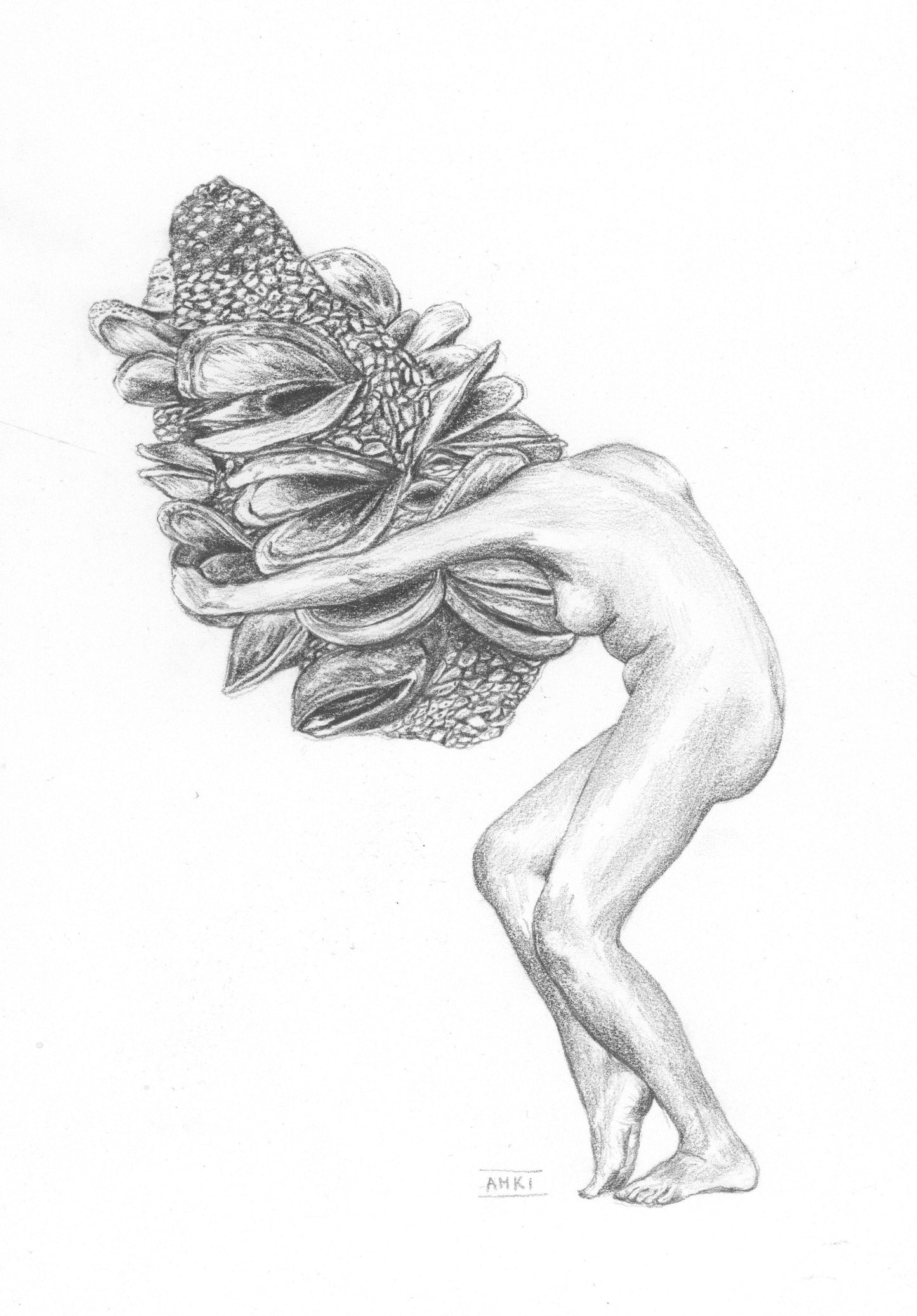 Banksia Lady Fine Art Print