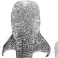 Whale Shark Print – Ocean Companions | Coastal Ocean Wall Art