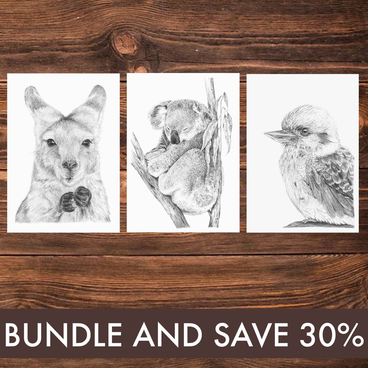 Australian Wildlife Trio – A3 Print Bundle - SAVE 30% SALE PRICE $126