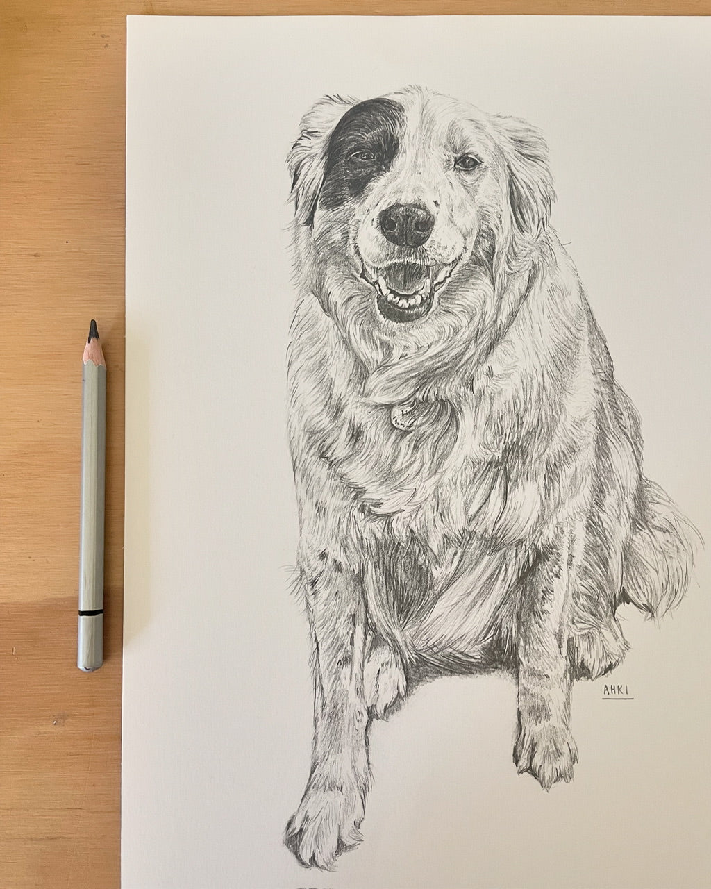 PET PORTRAIT COMMISSIONS