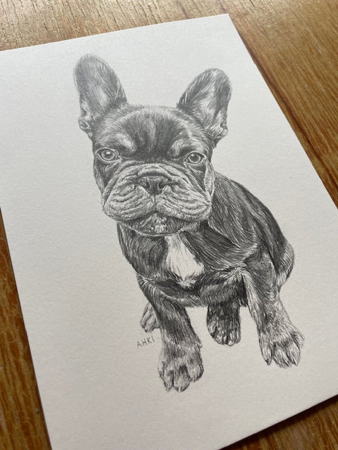 PET PORTRAIT COMMISSIONS