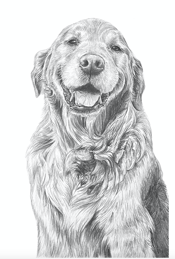 PET PORTRAIT COMMISSIONS