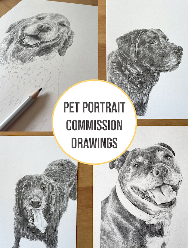 PET PORTRAIT COMMISSIONS