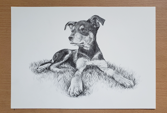 PET PORTRAIT COMMISSIONS