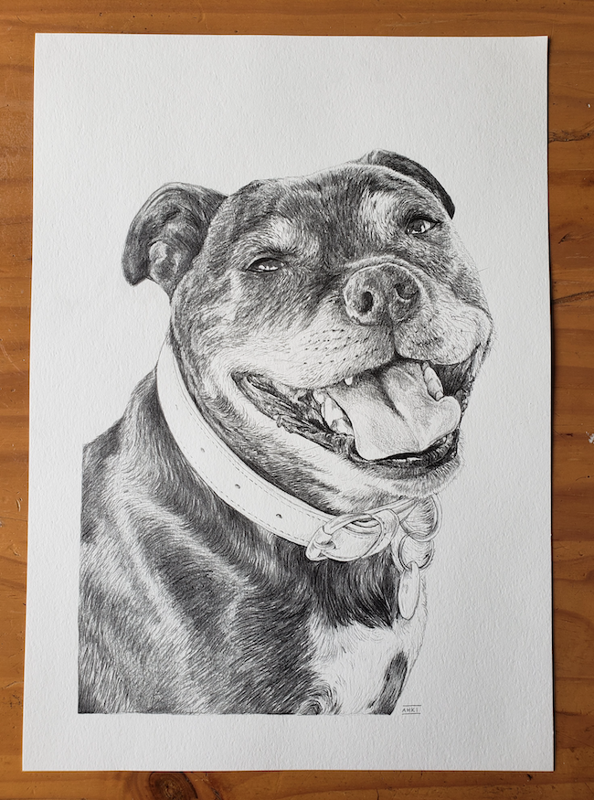 PET PORTRAIT COMMISSIONS