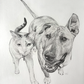 PET PORTRAIT COMMISSIONS