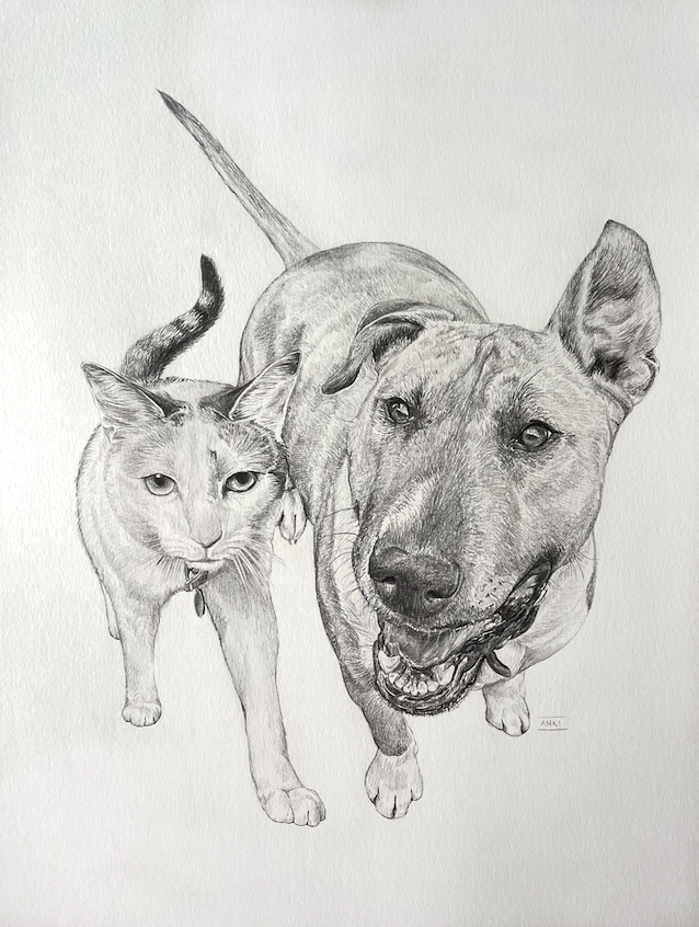 PET PORTRAIT COMMISSIONS