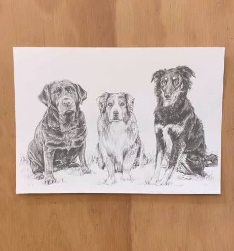 PET PORTRAIT COMMISSIONS