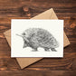 Australian Animal Art Greeting Cards - Individual