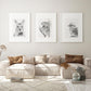Australian Wildlife Trio – A3 Print Bundle - SAVE 30% SALE PRICE $126