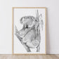 Koala Australian Animals - Fine art print