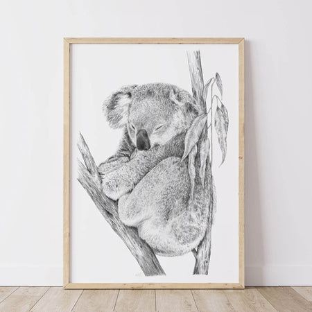 framed artwork of detailed greylead drawing of a cute koala sleeping in tree branches