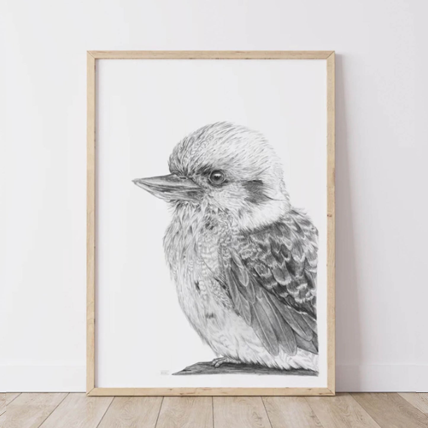 Kookaburra Australian Animals - Fine Art Print