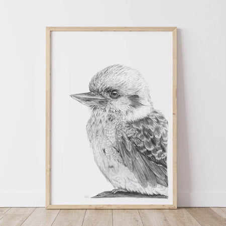 Kookaburra Print | Australian Animal Art