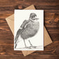 Birdsong Bundle - SAVE 30% SALE PRICE $91