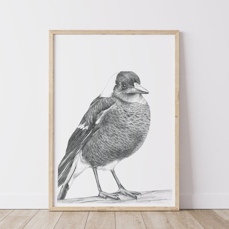 framed artwork featuring a greylead drawing of a magpie