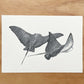 Spotted Eagle Rays Print | Monochrome Ocean Animal Wall Art
