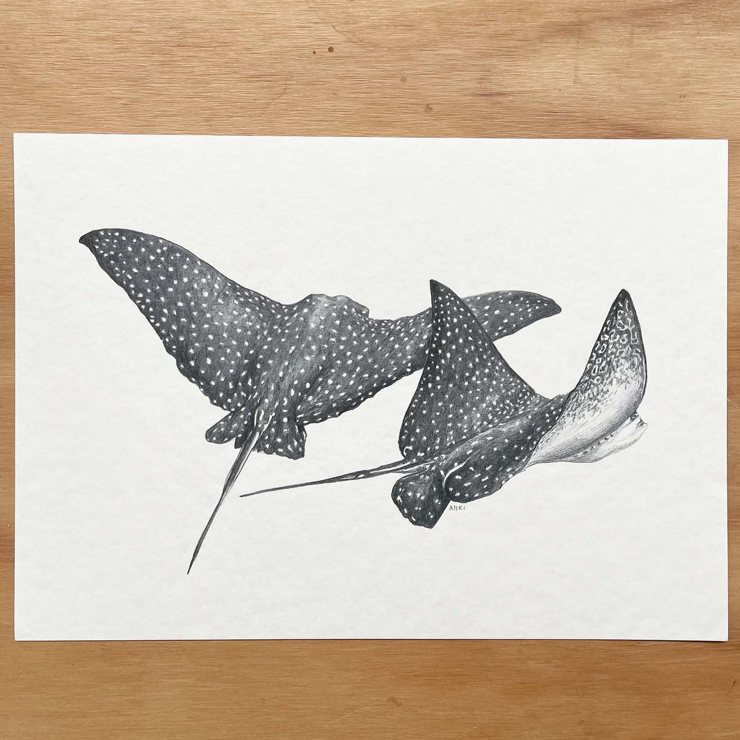 Spotted Eagle Rays Print | Monochrome Ocean Animal Wall Art