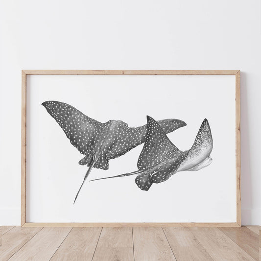 Spotted Eagle Rays Print | Monochrome Ocean Animal Wall Art