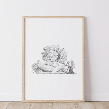 Sea Snail - Fine Art Print