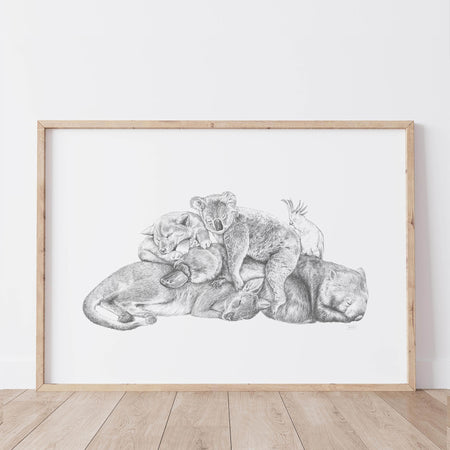 Framed greylead drawing art print of Australian animals sleeping together in a snuggle pile. including a koala, kangaroo, dingo, platypus and cockatoo