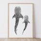 Whale Shark Print featuring two whale sharks swimming together in monochrome graphite artwork.
