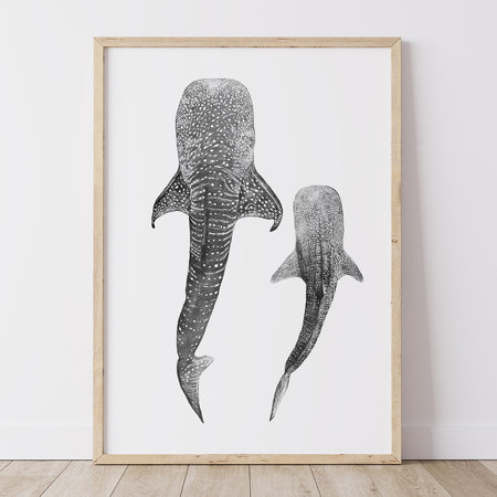 Whale Shark Print featuring two whale sharks swimming together in monochrome graphite artwork.