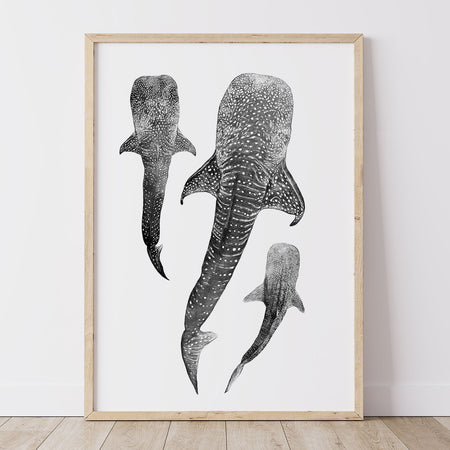 Whale Shark Print featuring three whale sharks gliding through the ocean in monochrome graphite artwork