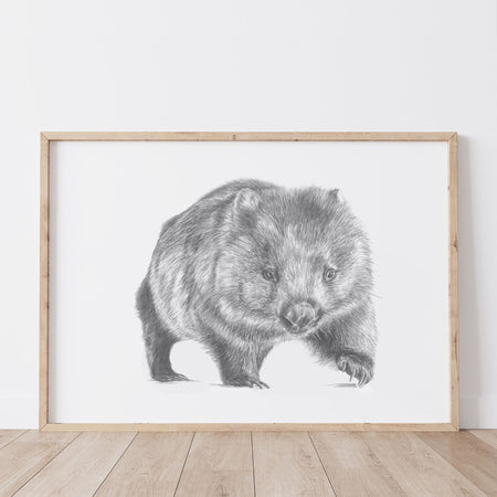 detailed greylead drawing of a wombat framed in a lightwood frame