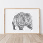 Wombat Australian Animals - Fine Art Print