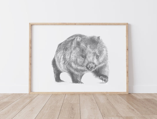 Wombat Australian Animals - Fine Art Print