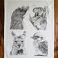 Australian Animals Cotton Tea Towel