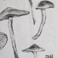 Mushrooms Cotton Tea Towel
