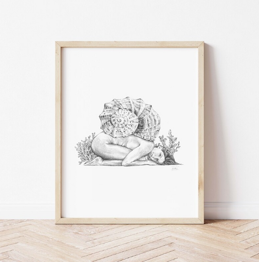 Sea Snail - Fine Art Print
