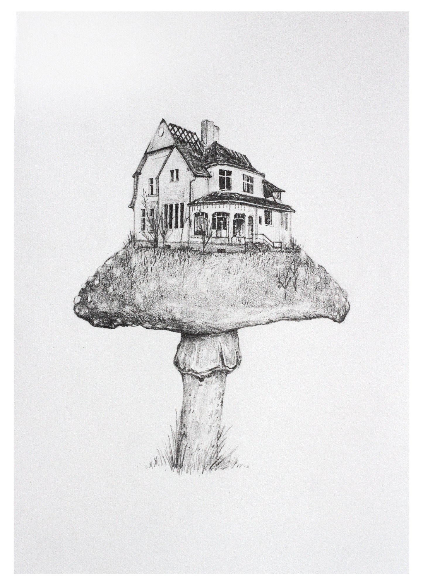 Mushroom Mansion - Fine Art Print