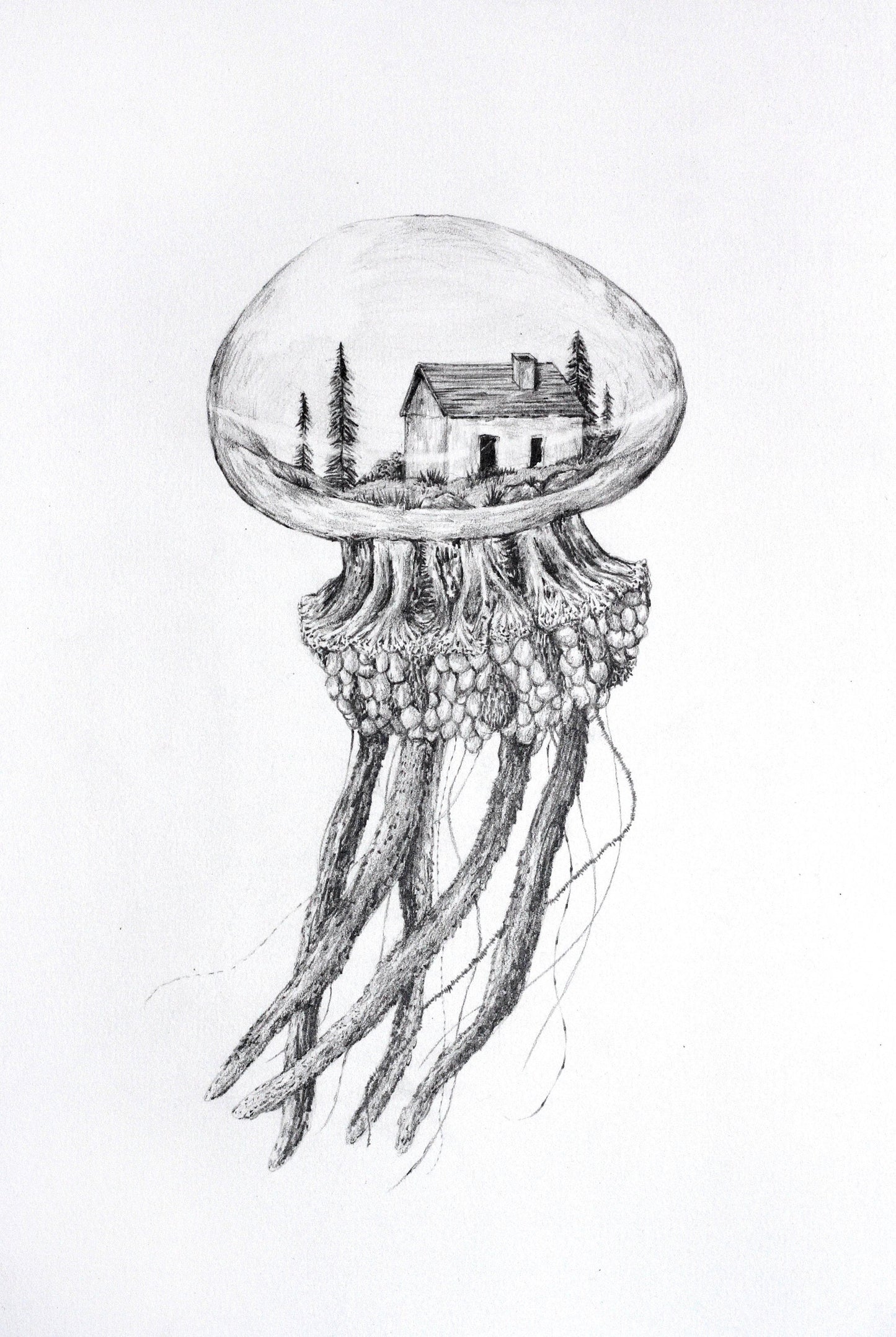 Jellyfish Home #2 - Fine Art Print