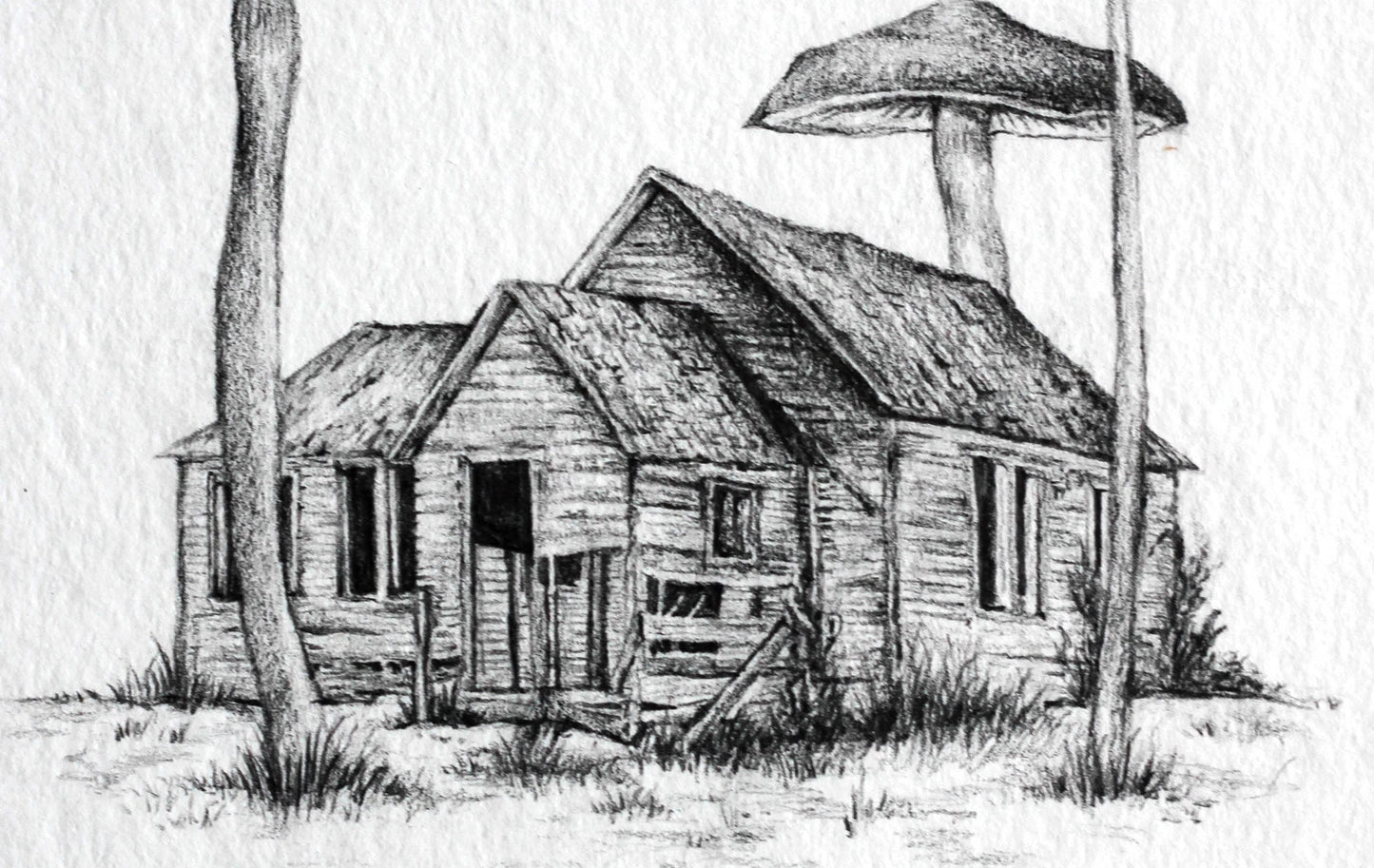 Mushroom Home - Fine Art Print