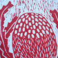 Red Lino Banksia print