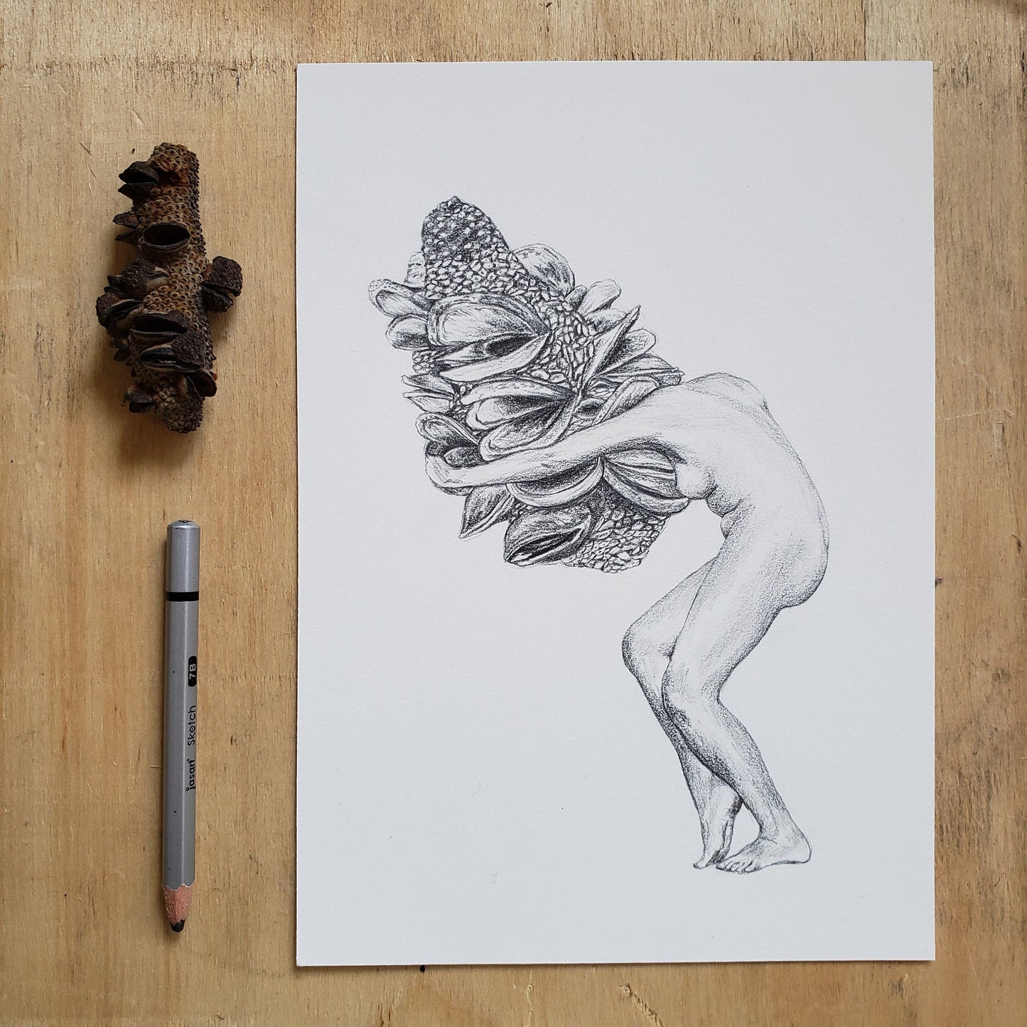 Banksia Lady Fine Art Print