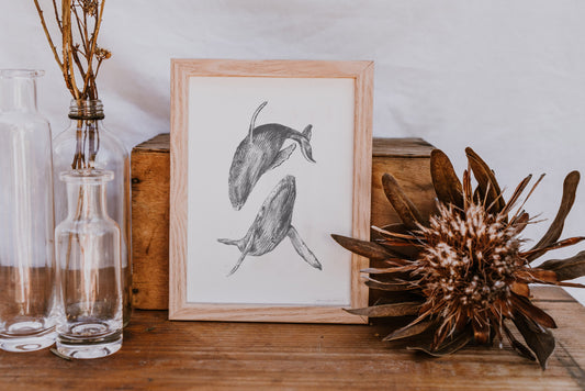 Whales - Fine Art Print