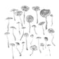 Mushrooms - Fine Art Print